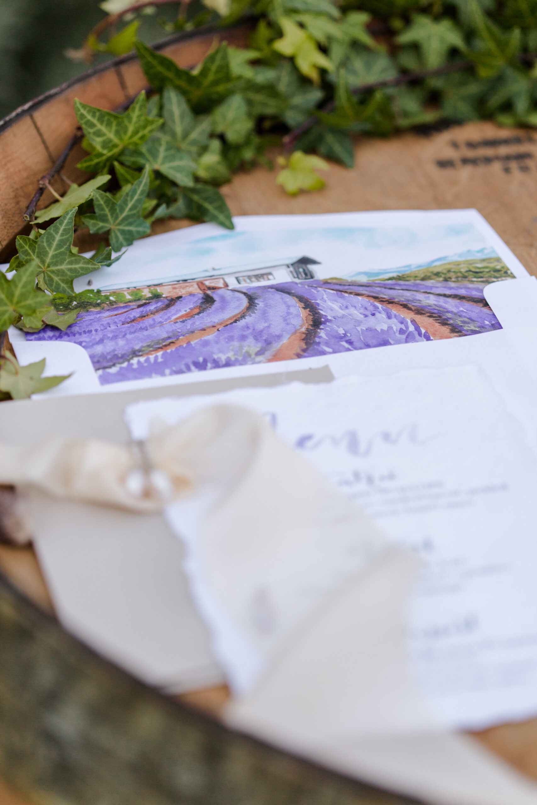 JustForLovePhotography-37