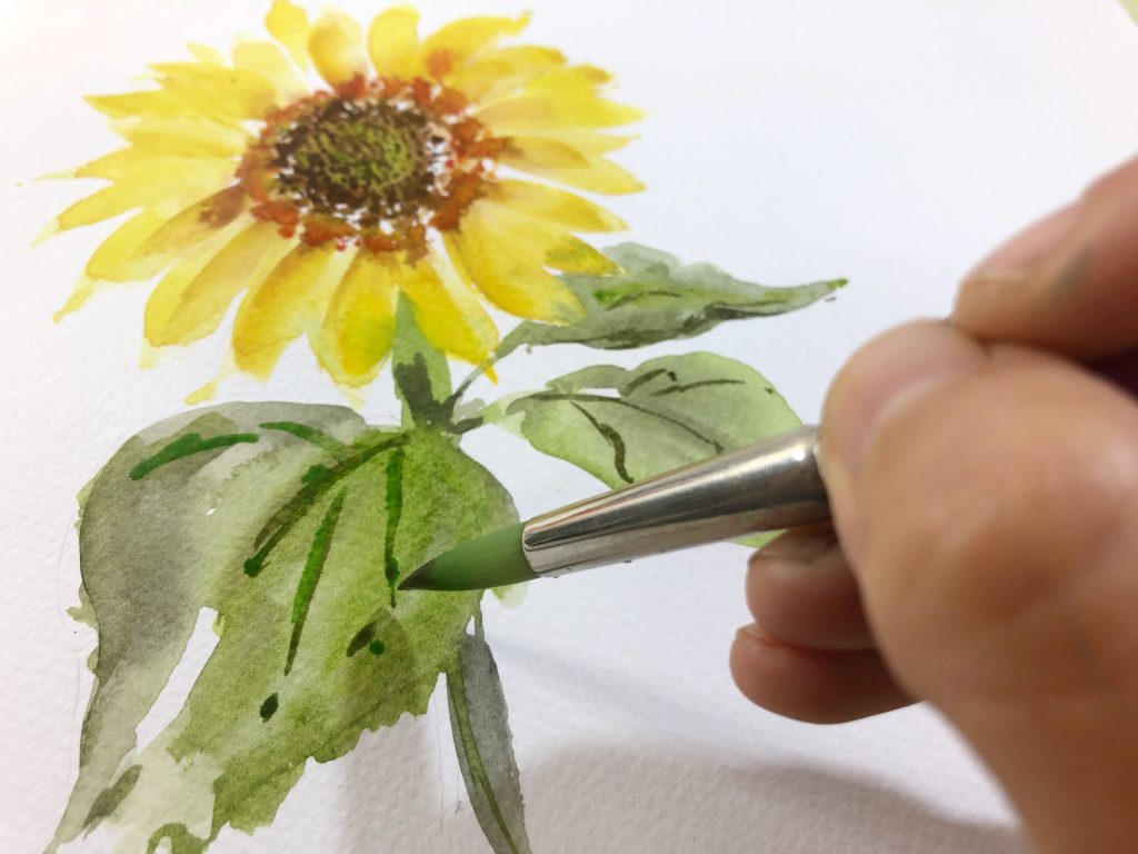 10 steps to painting a loose sunflower in watercolour iampoppy