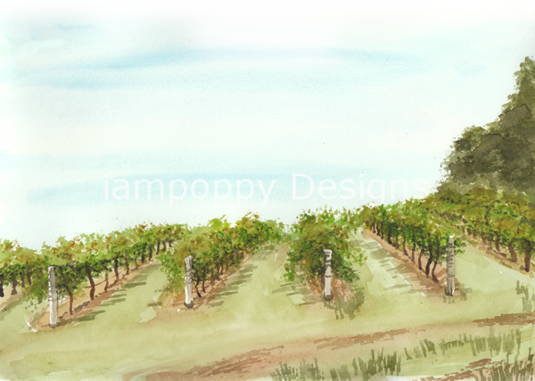 Sirromet-Winery-field