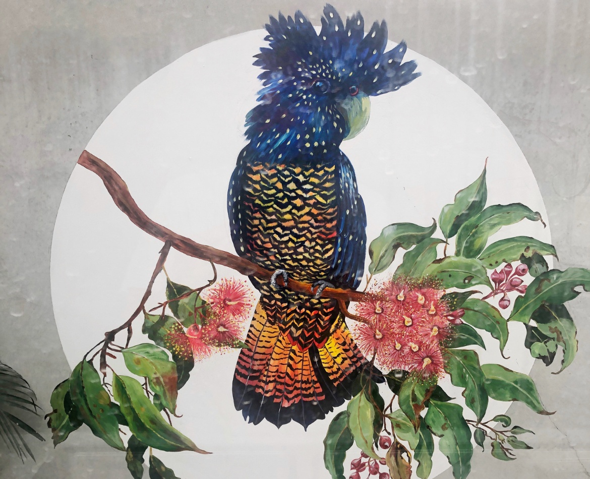 cockatoo murals to paint